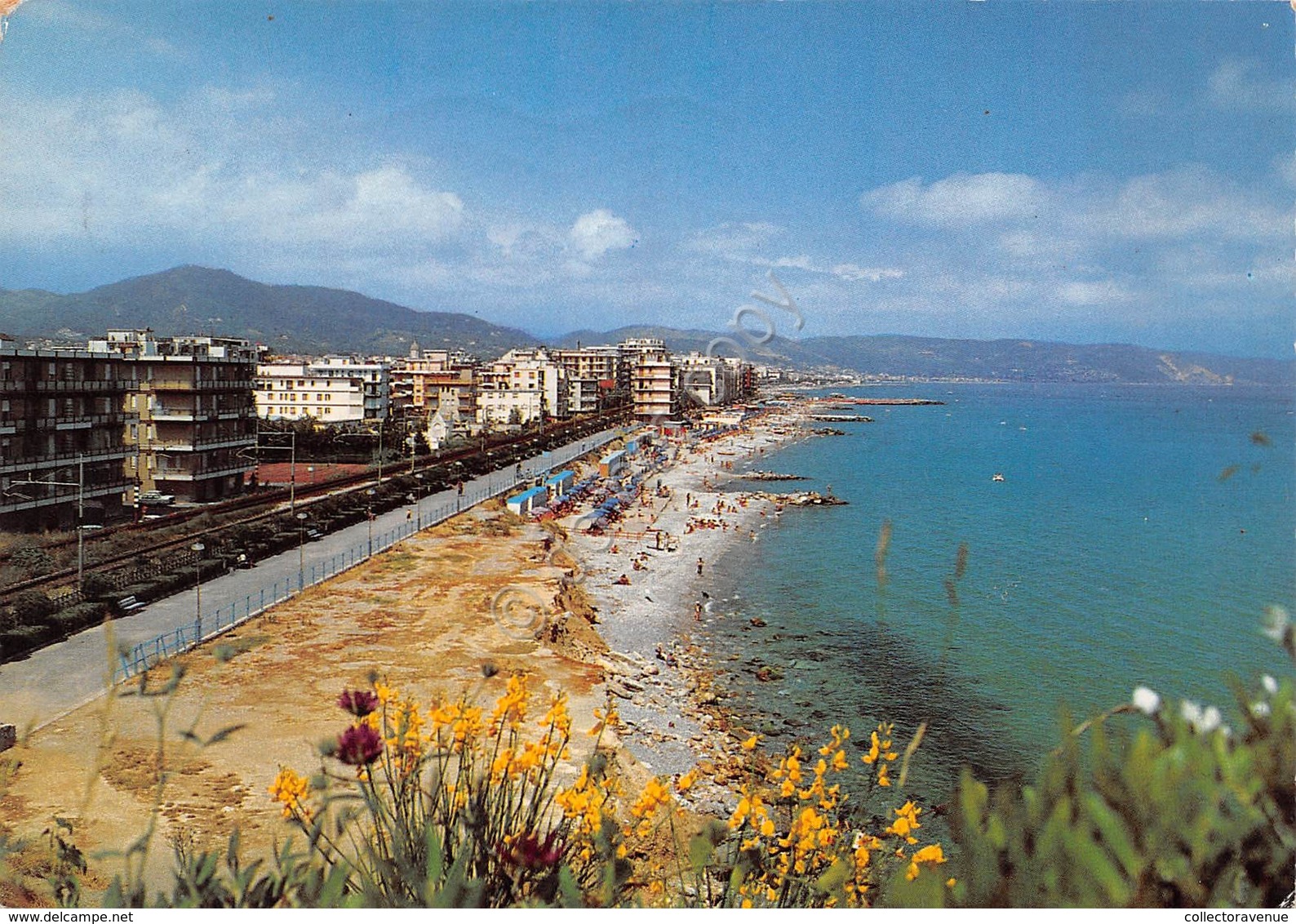 Cartolina Borghetto Santo Spirito Panorama E Spiaggia 1988 - Savona