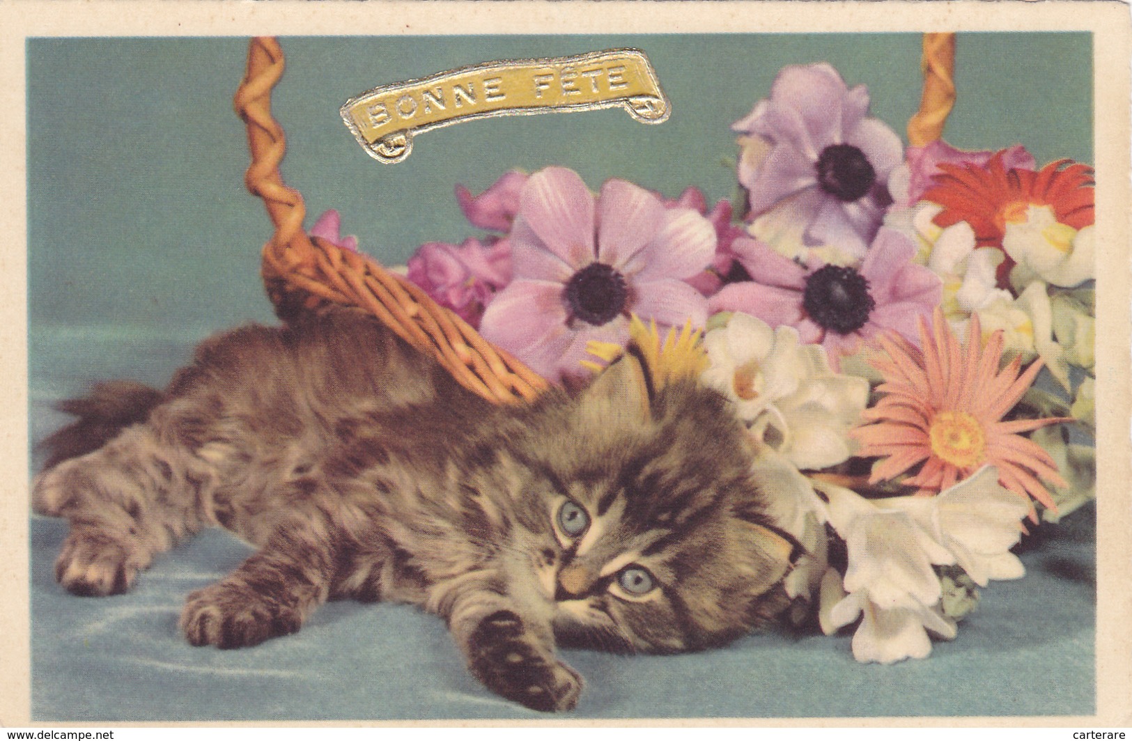 Carte Postale Ancienne,chat,cat,bonne Fete,fleurs,beaux Yeux - Cats