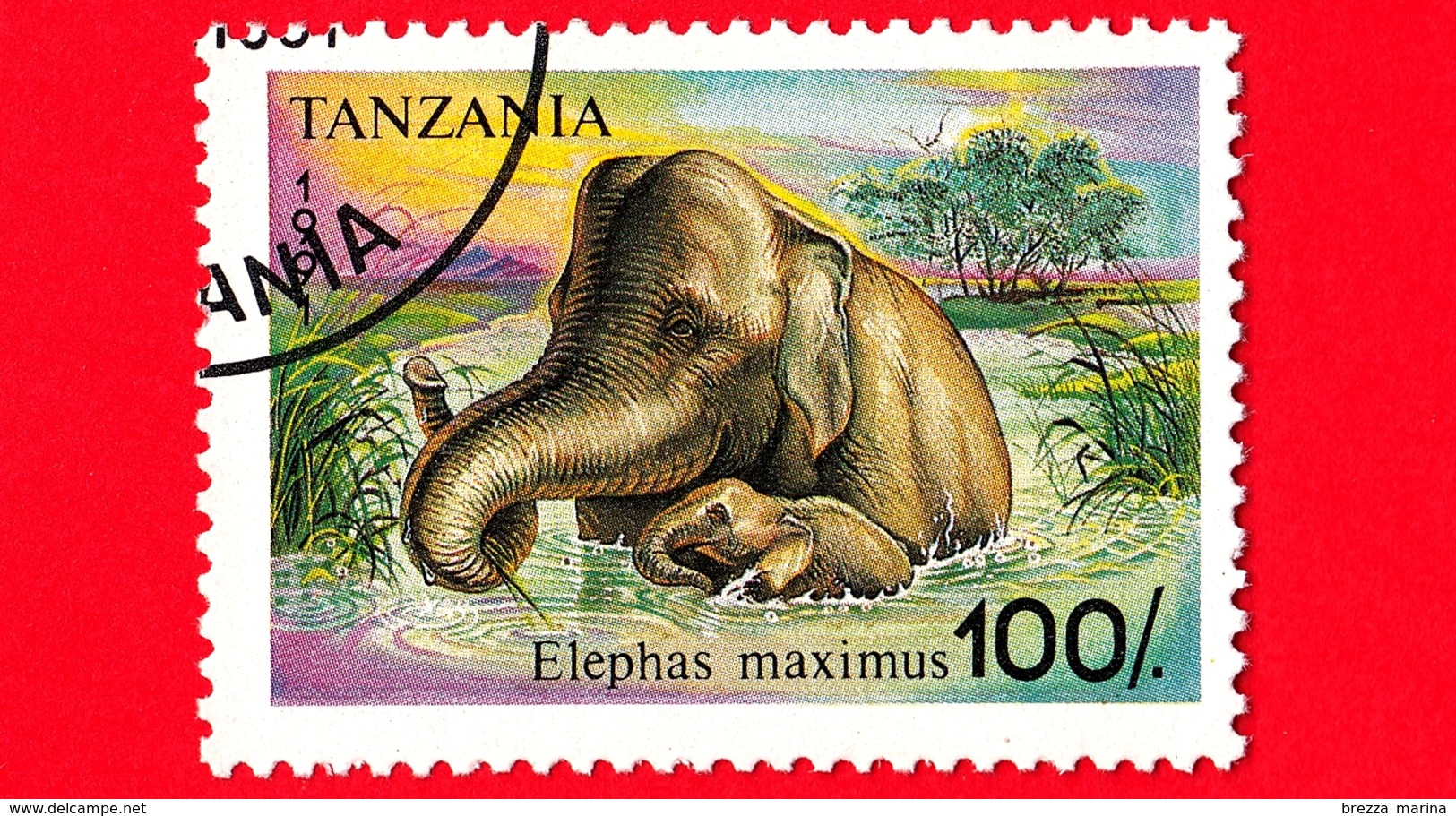 Nuovo - MH - TANZANIA - 1991 - Animali - Elefanti - Asian Elephant (Elephas Maximus) - 100 - Tanzania (1964-...)