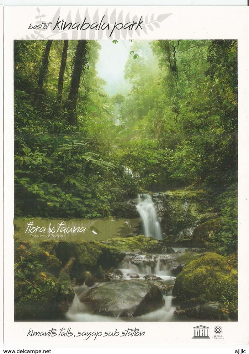 Mount Kinabalu, 4095 M. Unesco World Heritage. Sabah. Kimantis Falls , Carte Postale Neuve, Non Circulée - Malaysia