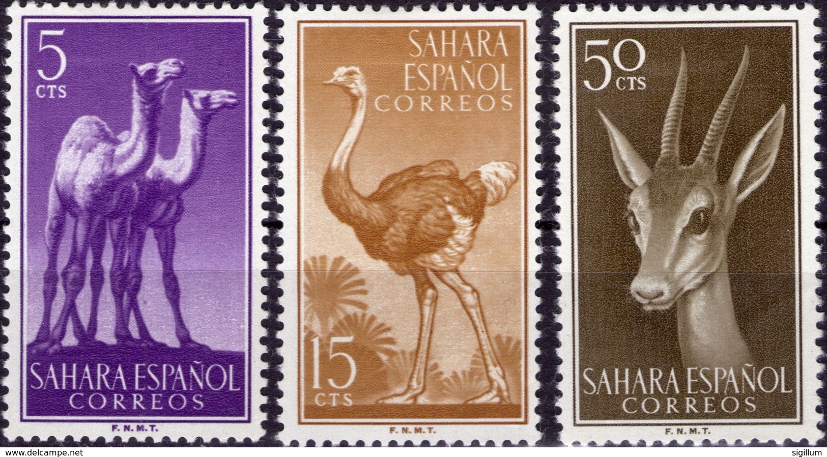 SAHARA SPAGNOLO 1957 - FAUNA, ANIMALI - 3 VALORI NUOVI MLH* - Spanish Sahara