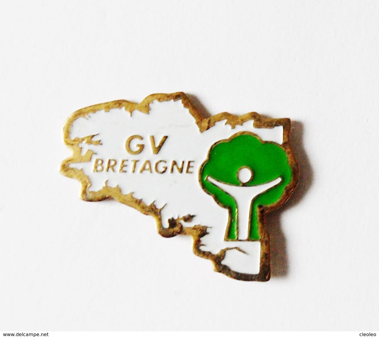 Pin's Carte De Bretagne GV Bretagne - Villes