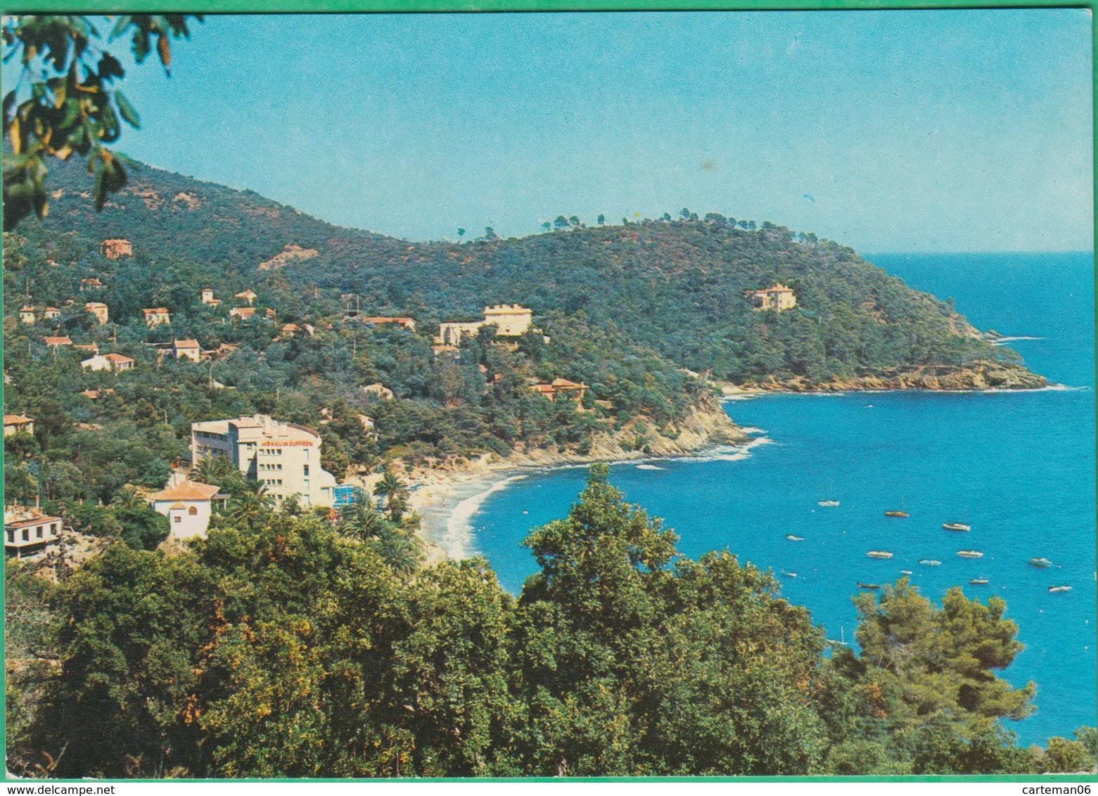 83 - Le Rayol - Vue Générale - Editeur: S.E.P.T N°56/121 - Rayol-Canadel-sur-Mer