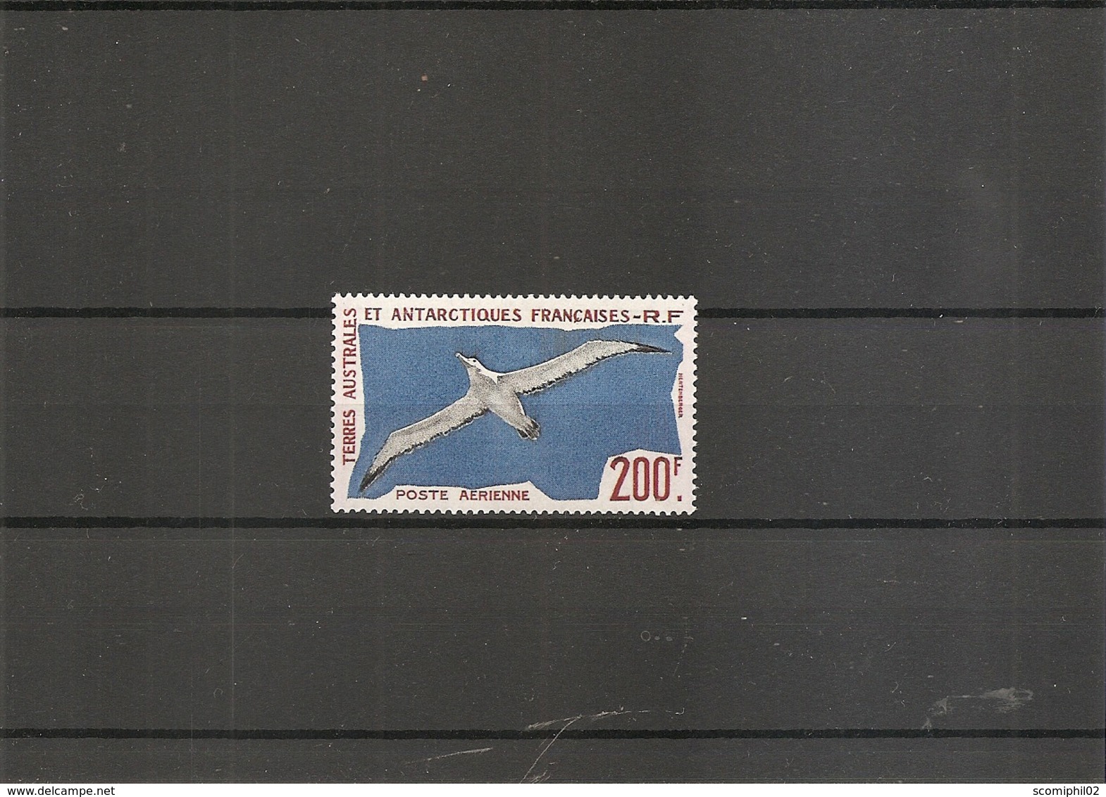 Albatros ( PA 4 XXX -MNH- Des TAAF) - Albatrosse & Sturmvögel