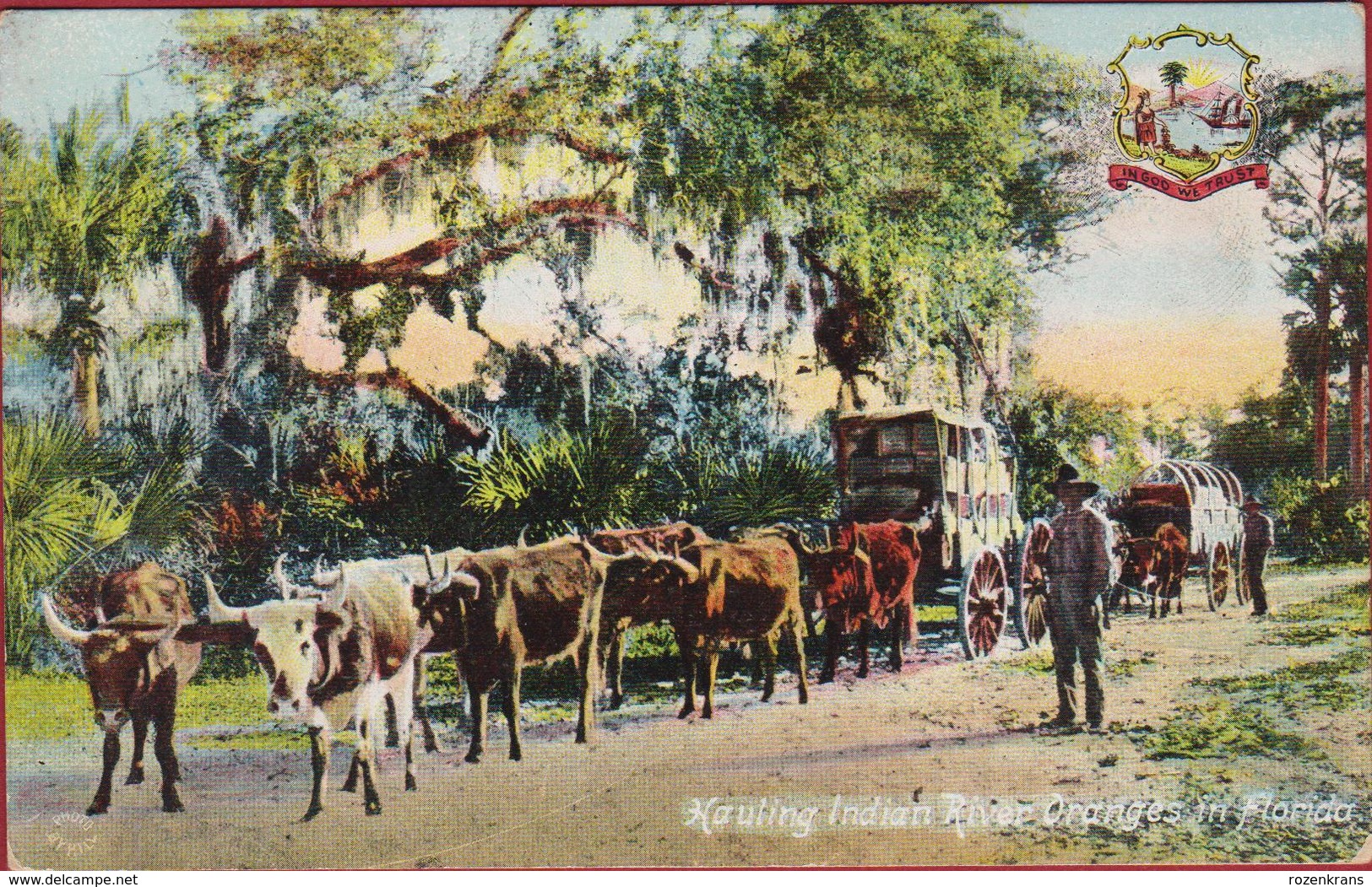 Hauling Indian River Oranges In Florida Cowboy Chromatography (In Very Good Condition) - Autres & Non Classés