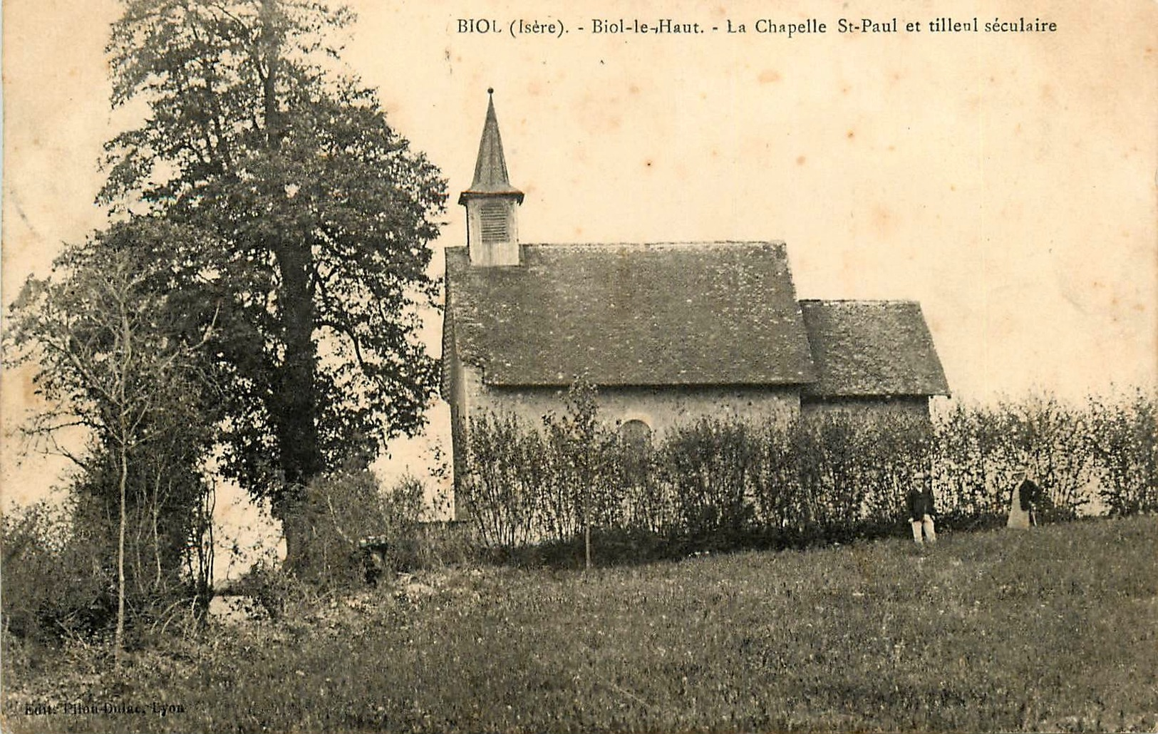 BIOL - BOIL LE HAUT - LA CHAPELLE SAINT - PAUL & TILLEUL SECULAIRE - ARBRE - ANIMATION - Autres & Non Classés