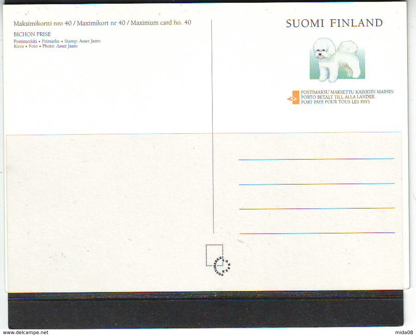 FINLANDE . CARTE MAXIMUM CARD No. 40 . BICHON FRISE . FAUNE . CHIEN - Maximumkaarten