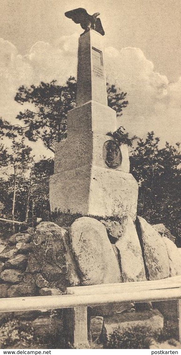 ALTE POSTKARTE STRASSBURGER STEIN IM PFÄLZER WALD PFALZ DENKMAL EDENKOBEN Monument Strassburg Strasbourg Ansichtskarte - Edenkoben