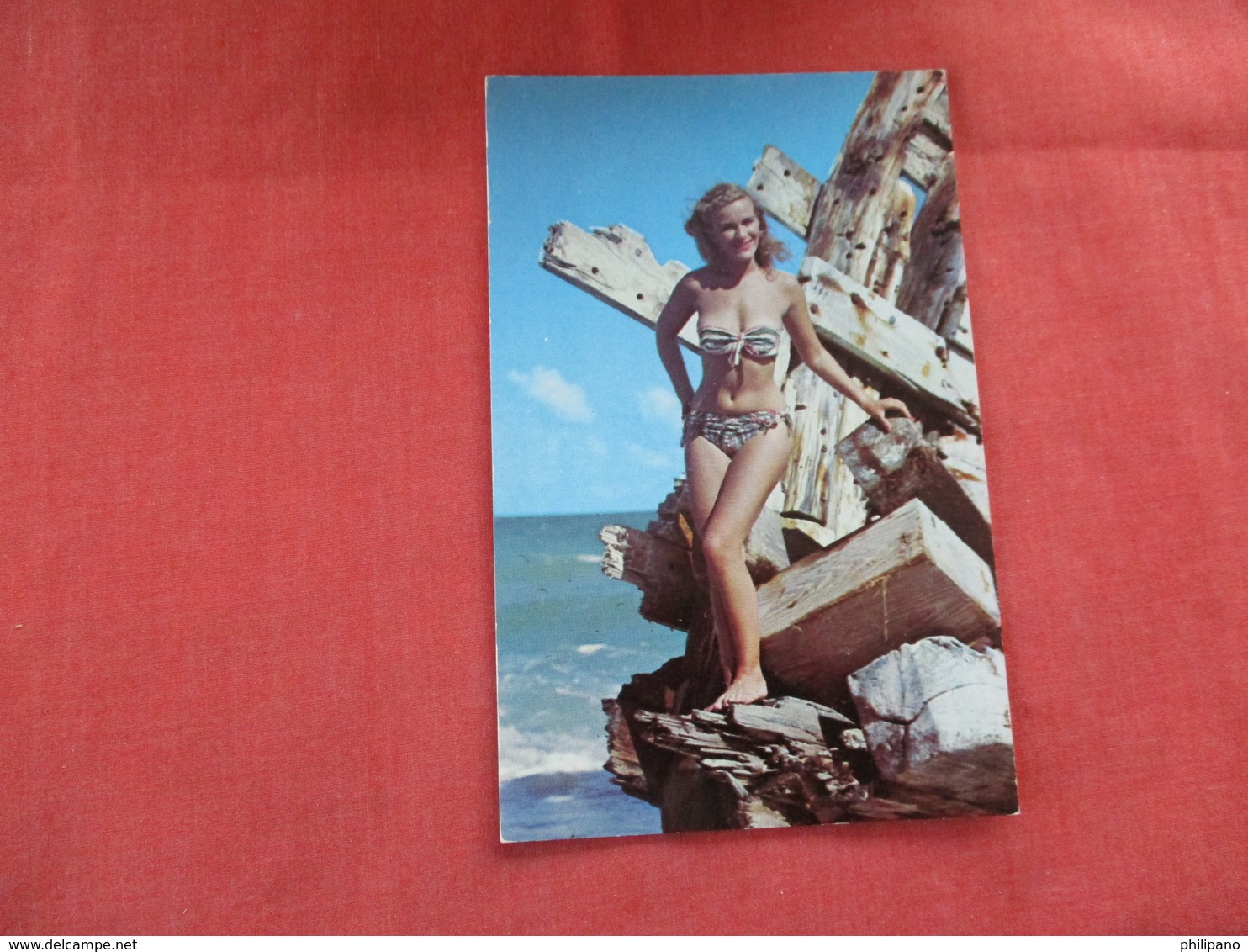 Fair Loveliness Against The Remains Of An Old Sailing Ship  Southland   Ref 2979 - Pin-Ups