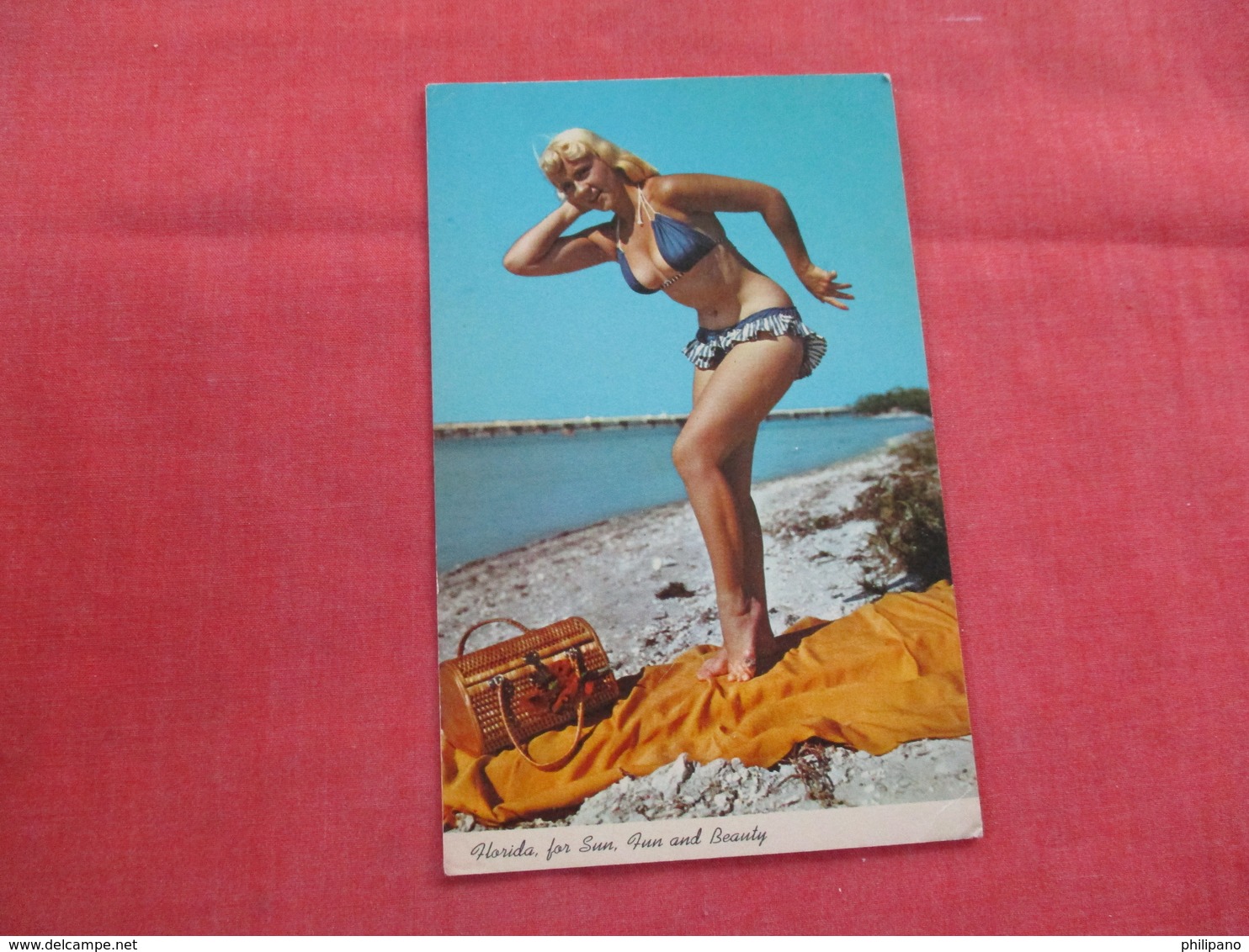 Florida For Sun Fun & Beauty       Ref 2979 - Pin-Ups