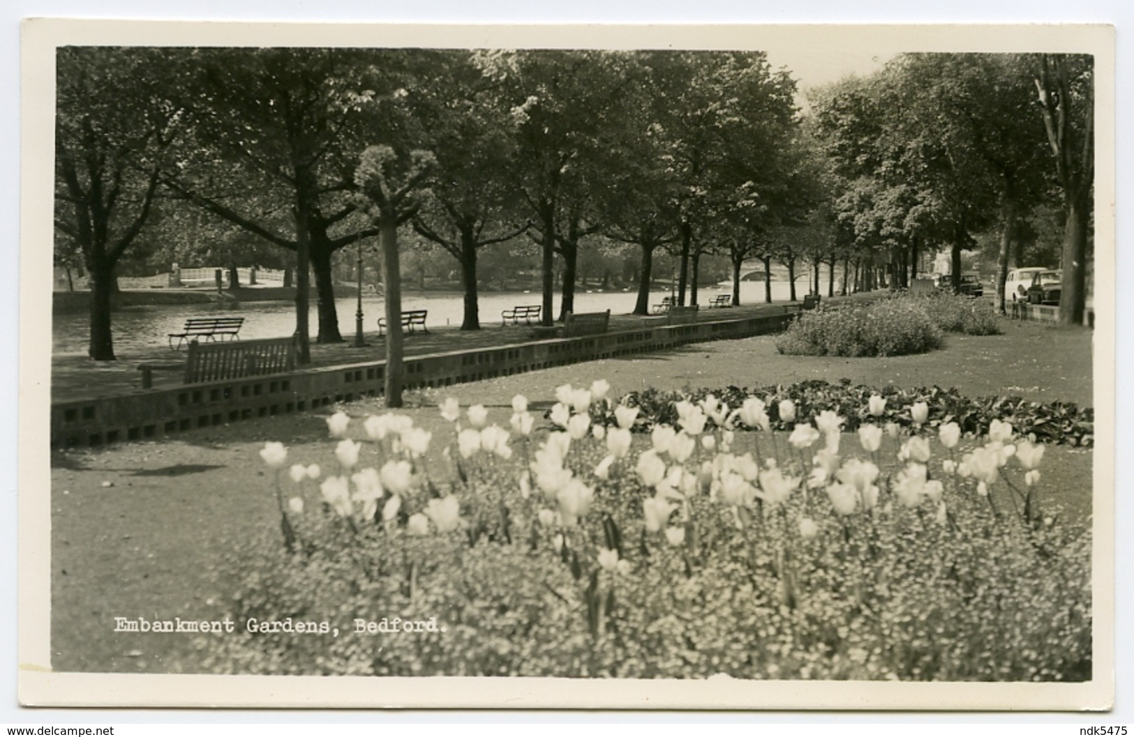 BEDFORD : EMBANKMENT GARDENS - Bedford