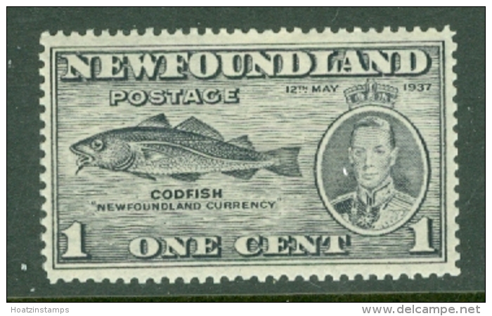 Newfoundland: 1937   Coronation Issue  SG257d   1c  [Perf: 13&frac12;]   MH - 1908-1947