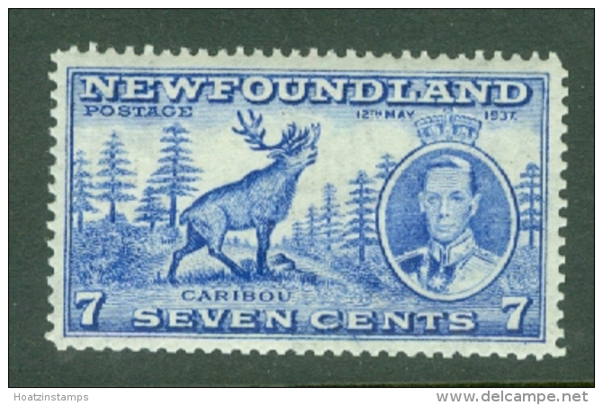 Newfoundland: 1937   Coronation Issue  SG259c   7c  [Perf: 13&frac12;]   MH - 1908-1947