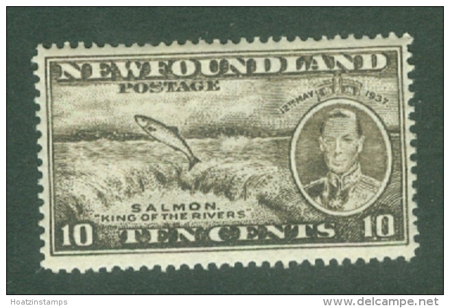 Newfoundland: 1937   Coronation Issue  SG261b   10c  [Perf: 13&frac12;]   MH - 1908-1947