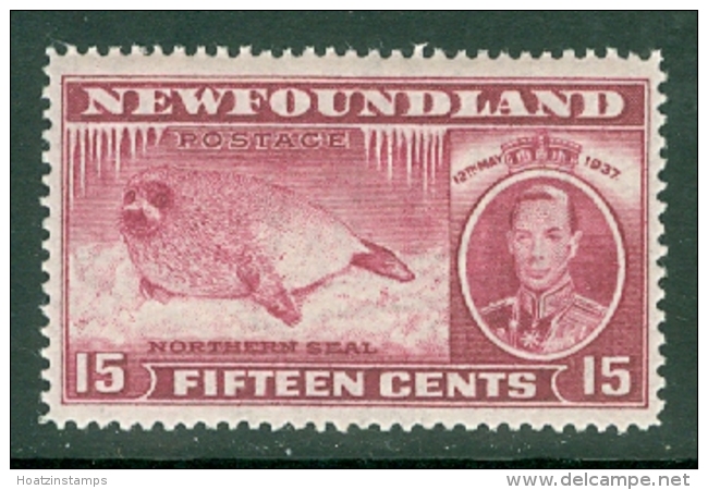 Newfoundland: 1937   Coronation Issue  SG263   15c  [Perf: 14]   MH - 1908-1947