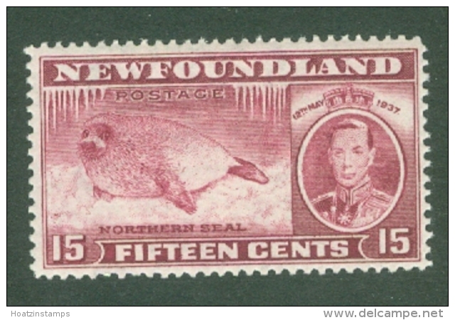 Newfoundland: 1937   Coronation Issue  SG263c   15c  [Perf: 13&frac12;]   MH - 1908-1947