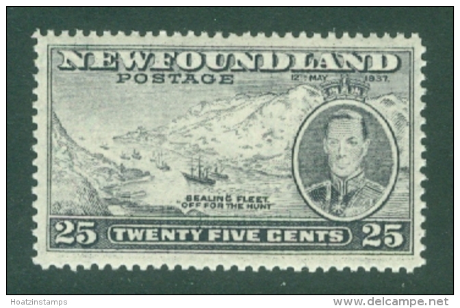 Newfoundland: 1937   Coronation Issue  SG266b   25c  [Perf: 13&frac12;]   MH - 1908-1947