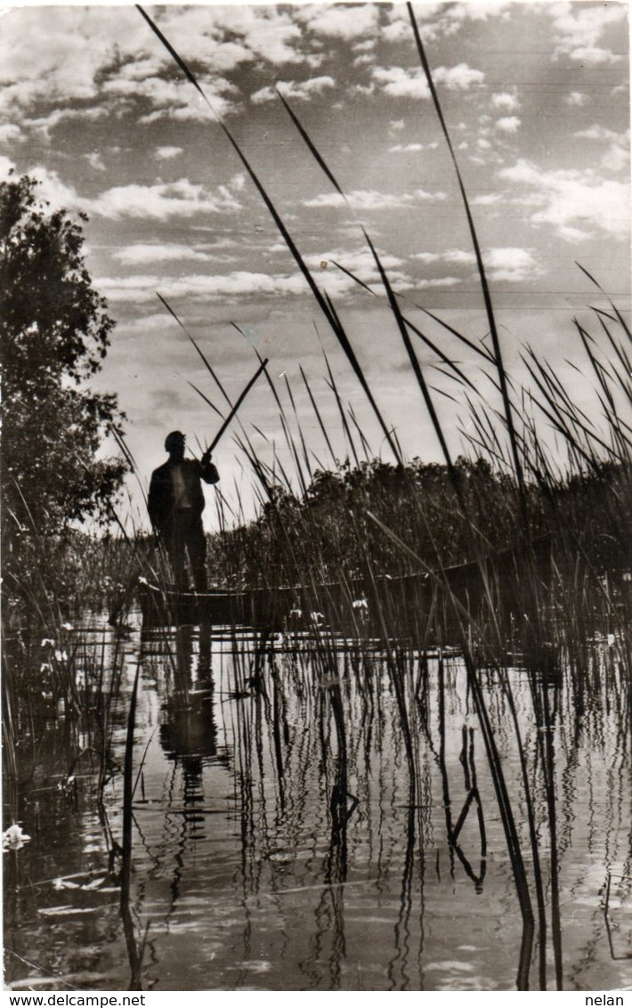 PRIN BALTILE DELTEI DUNARI-1964 - Romania