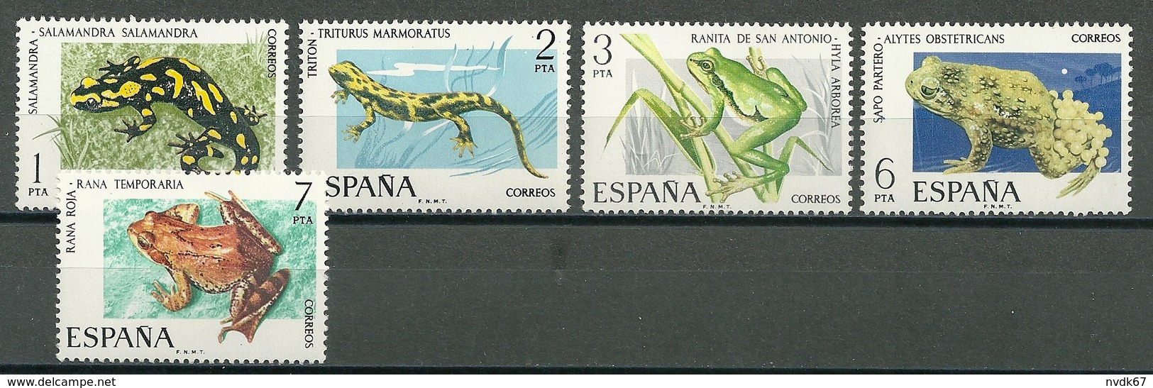 Spain – Mi.Nr. 2164-2168** Frogs Toad Fire Salamander [1975] - Frogs