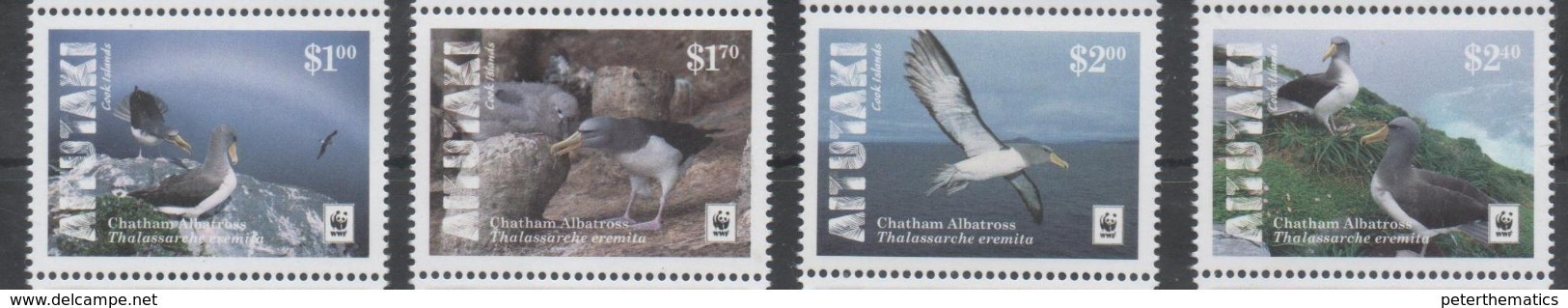 AITUTAKI, 2016,  MNH, WWF, BIRDS, ALBATROSS,  4v( STAMPS WITH WHITE BORDER) - Other & Unclassified