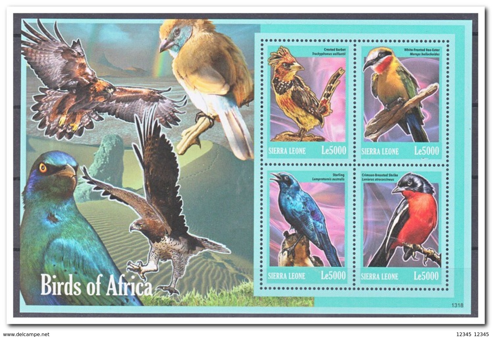 Sierra Leone 2013, Postfris MNH, Birds Of Africa - Sierra Leone (1961-...)