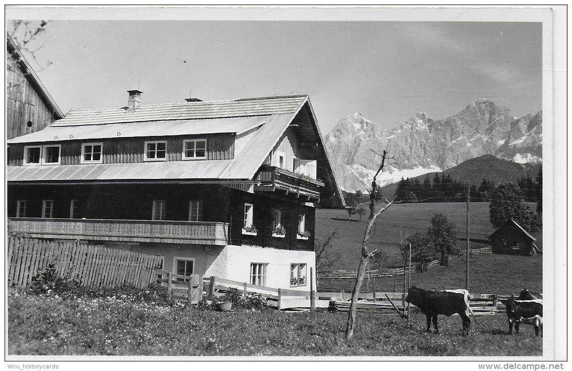 AK 0921  Ramsau Am Dachstein - Pension Familie Bachler ? Um 1960 - Ramsau Am Dachstein