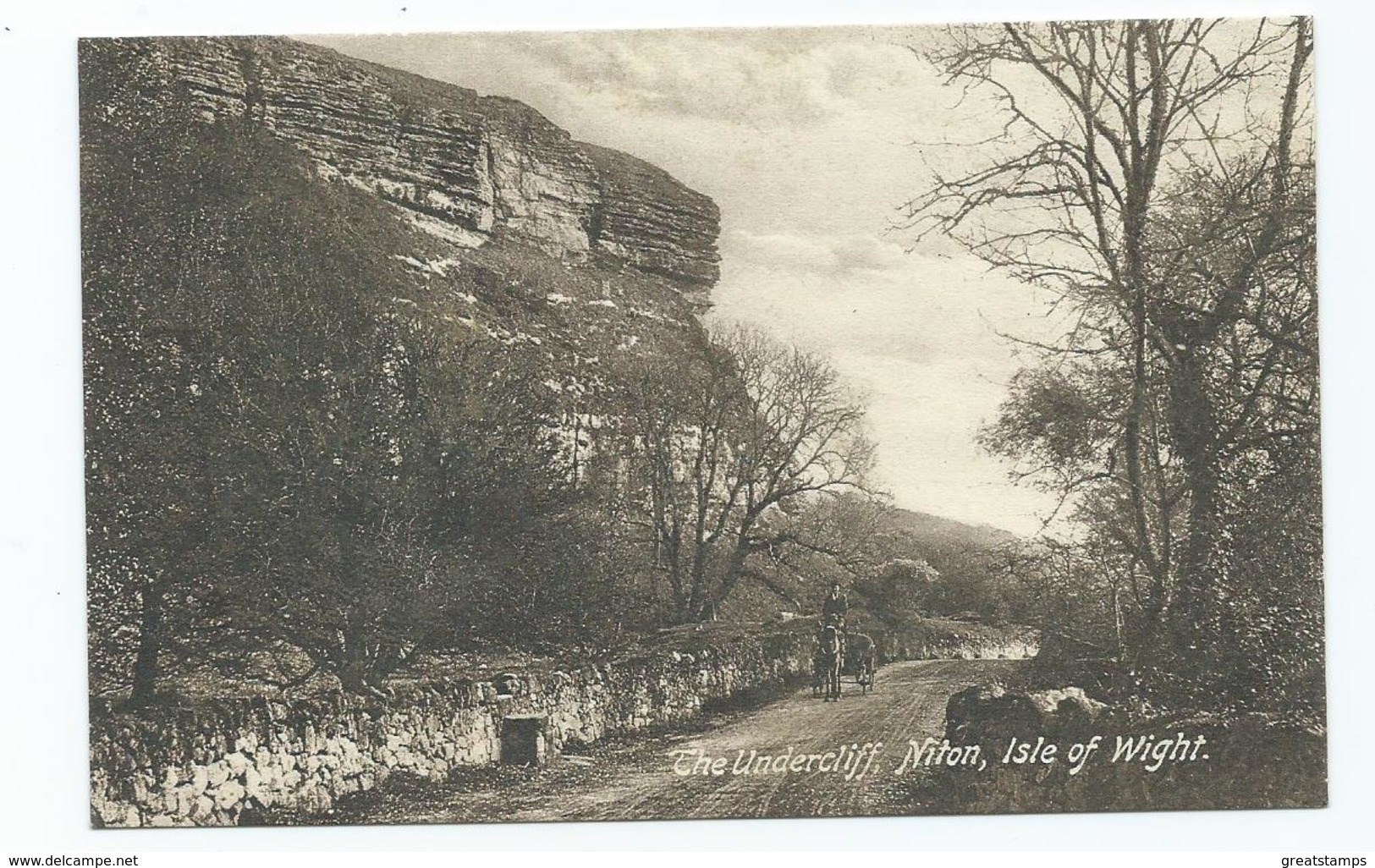 Postcard Isle Of Wight The Undercliff Niton Frith's - Autres & Non Classés