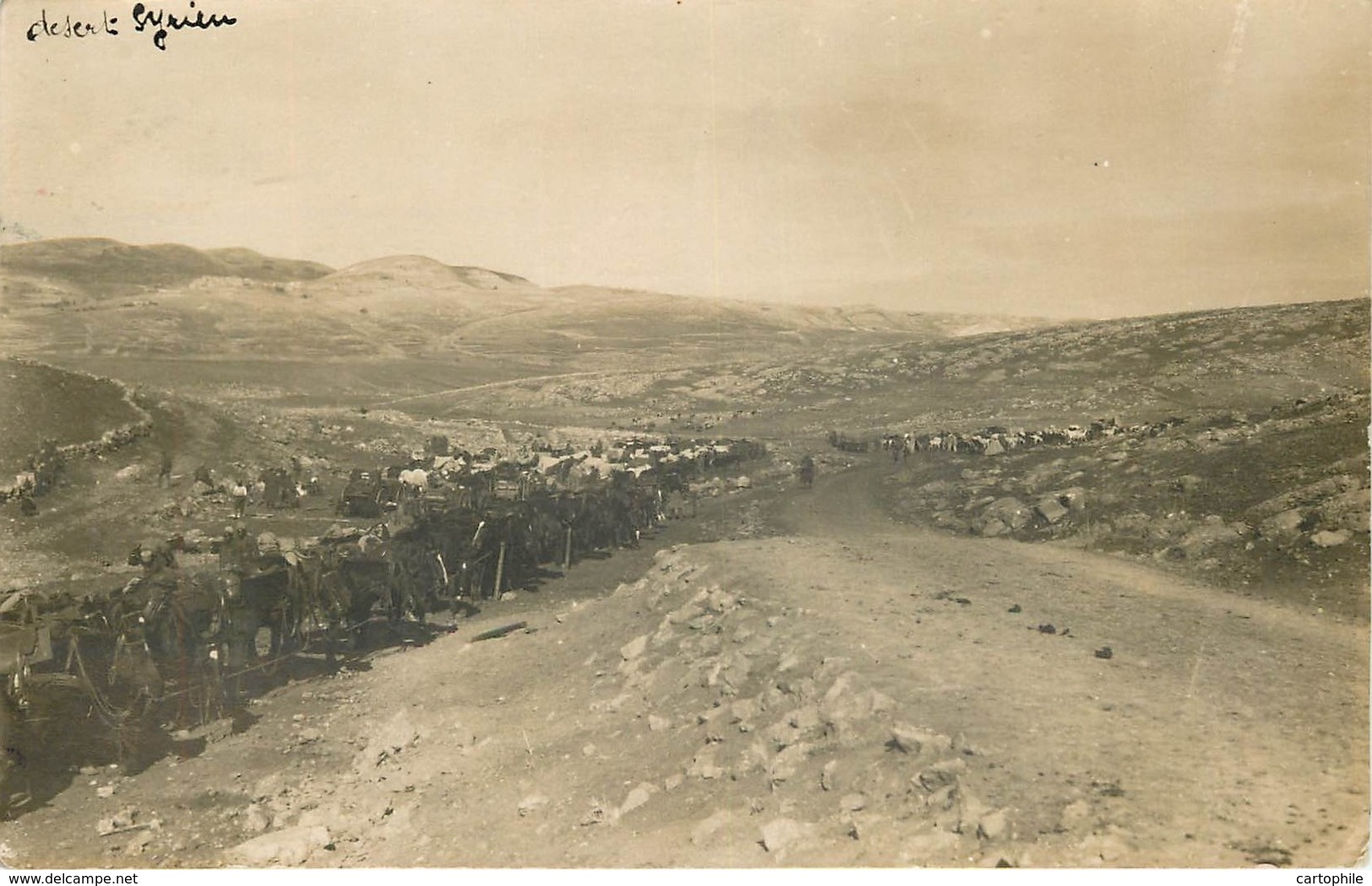 SYRIE - Infanterie Coloniale - Tirailleurs Senegalais Dans Le Desert Syrien 1937 (rare) Carte Photo Militaria - Syrie