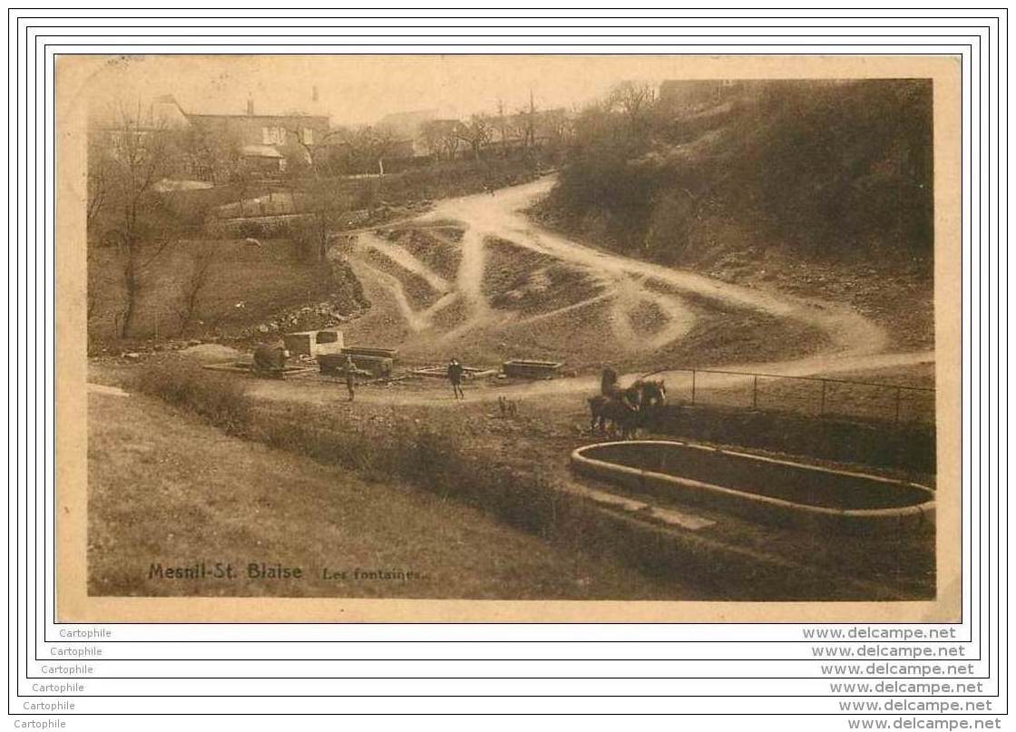 Belgique - MESNIL SAINT BLAISE - Les Fontaines (Lavoir) - Houyet