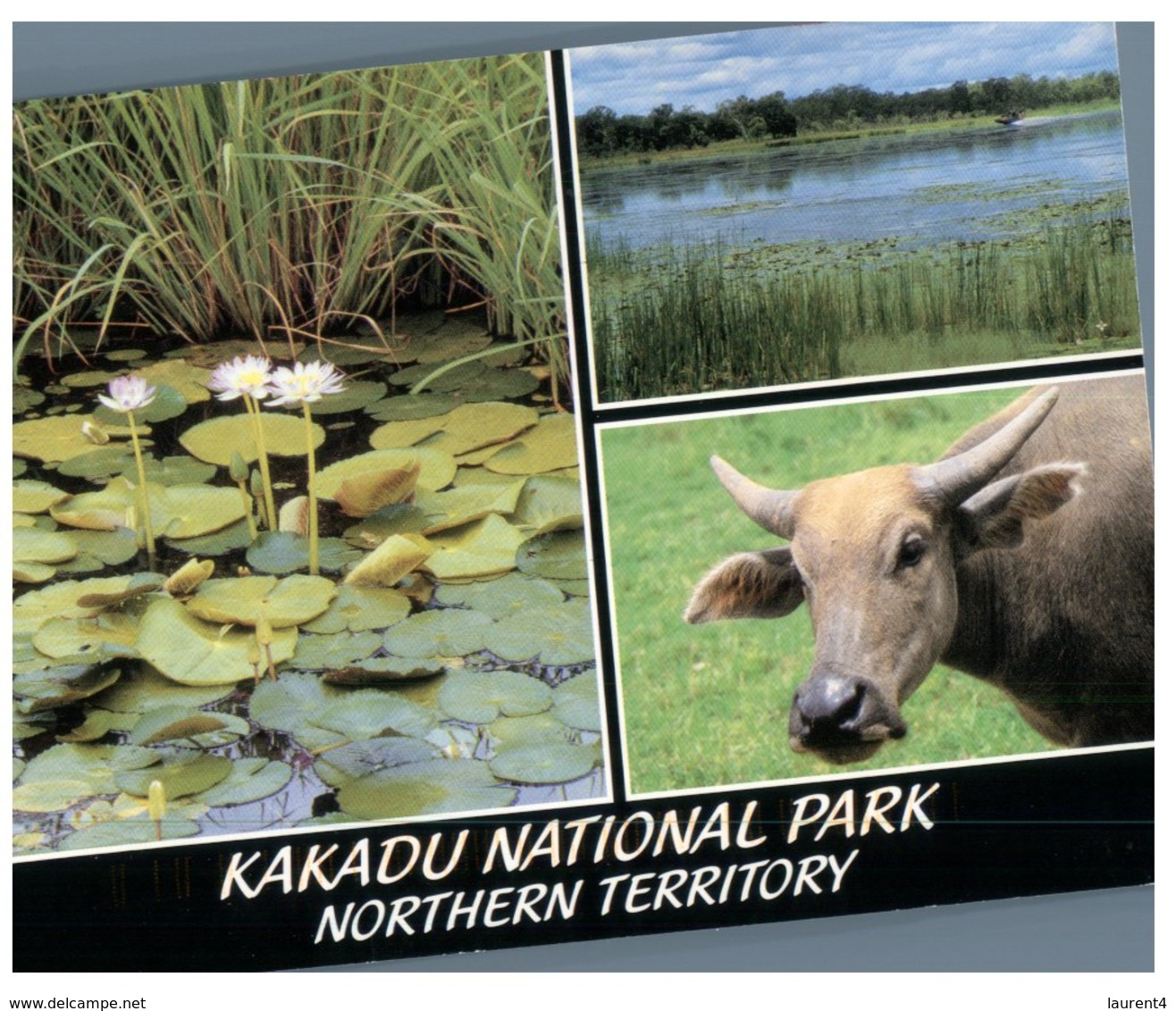 (654) Australia - (with Stamp) - NT - Kakadu - Kakadu