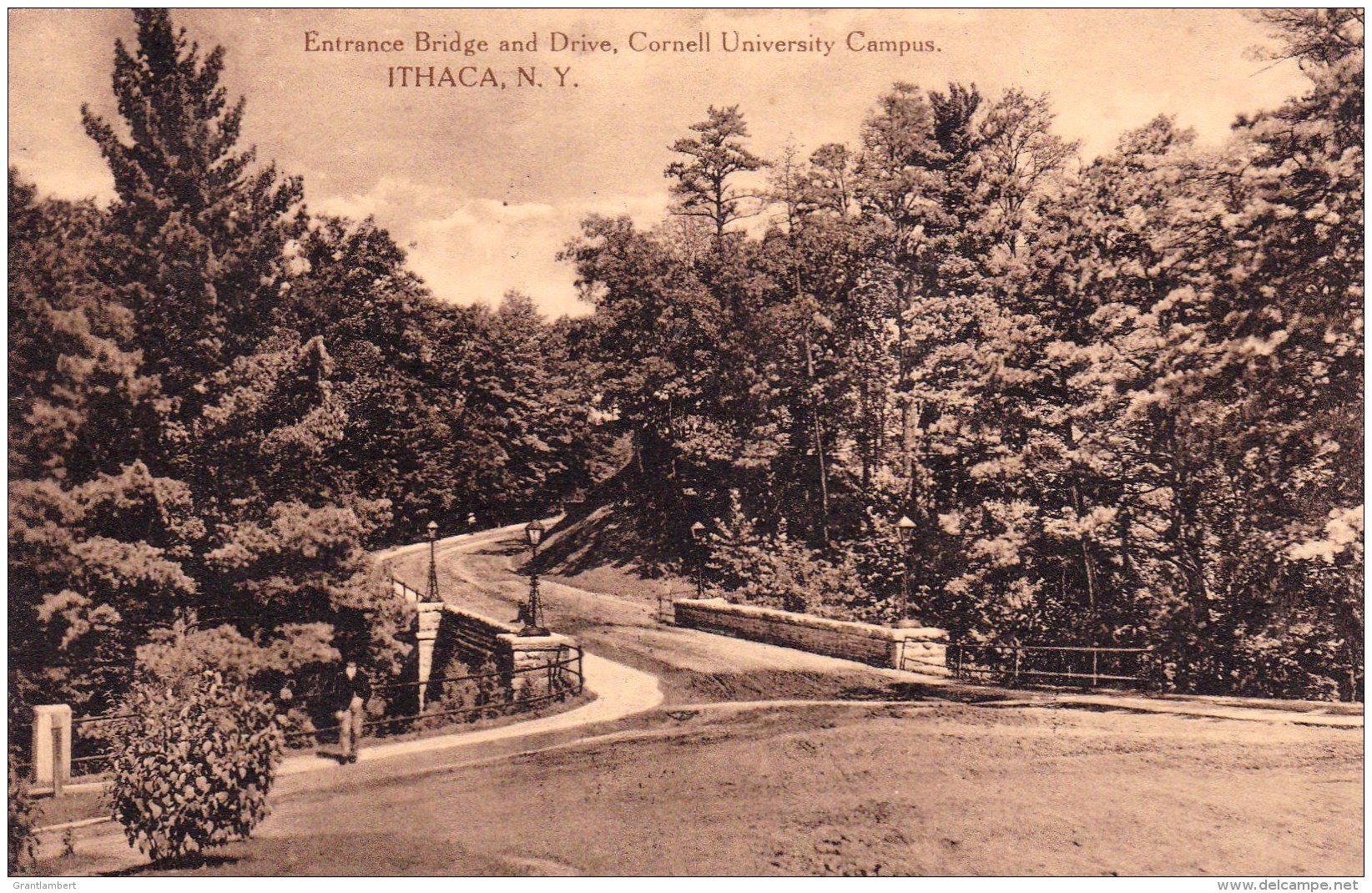 Entrance Bridge &amp; Drive, Cornell University Campus, Ithaca, New York, USA Vintage Posted 1910 With Stamp - Other & Unclassified