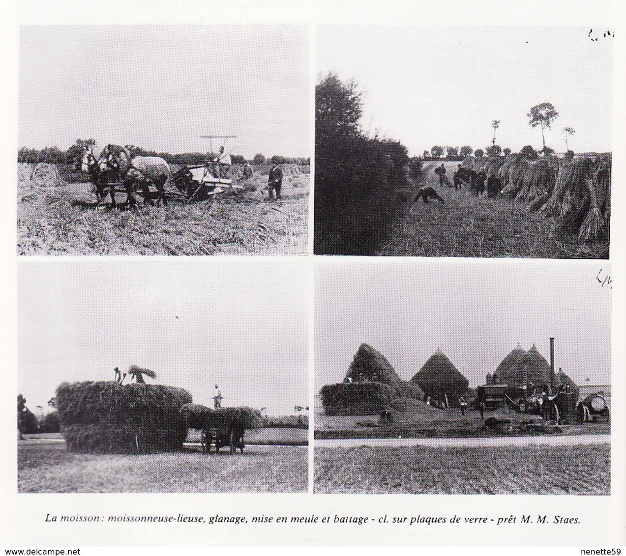 FLANDRES - HAZEBROUCK -- TRADITIONS CULINAIRES DE L'HOUTLAND De J MESSIANT - Picardie - Nord-Pas-de-Calais