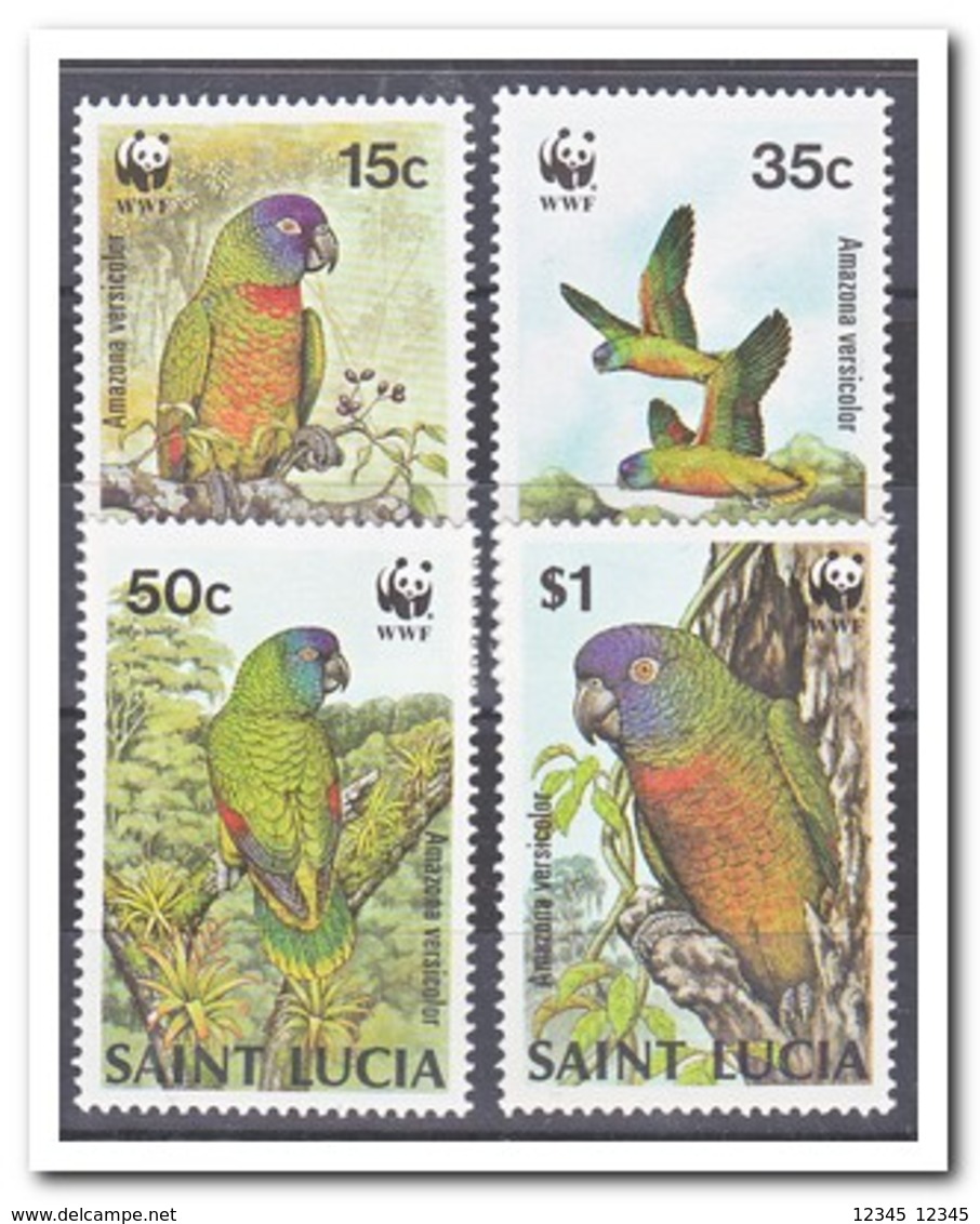 St. Lucia 1987, Postfris MNH, Birds, WWF - St.Lucia (1979-...)