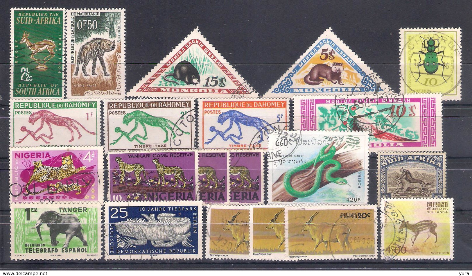 Lot 128 Fauna 33 Different - Other & Unclassified