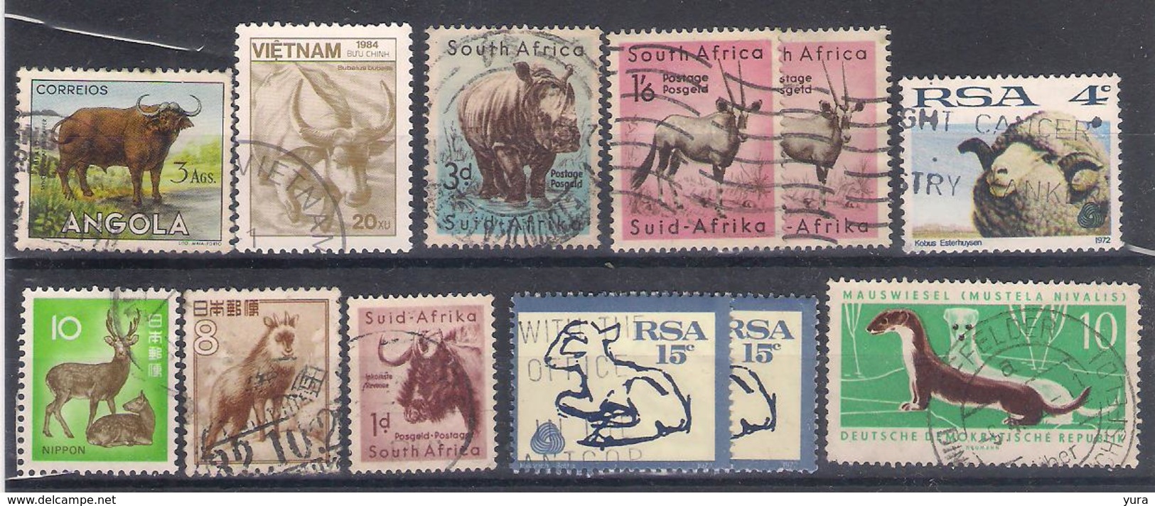 Lot 128 Fauna 33 Different - Other & Unclassified