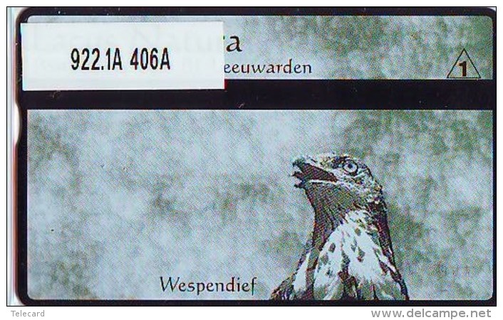 Telefoonkaart  LANDIS&amp;GYR  NED * RCZ 922.01  406a * LACUS NATURA WESPENDIEF * VOGEL  BIRD OISEAU  TK * ONGEBRUIKT *  - Privé