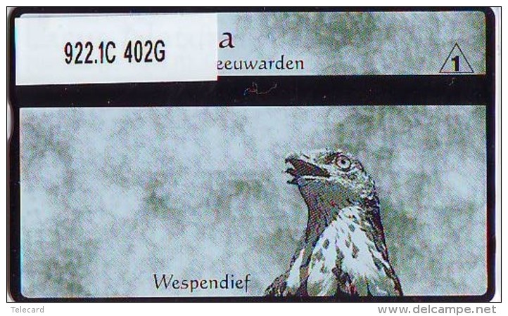 Telefoonkaart  LANDIS&amp;GYR  NED * RCZ 922.1c  402G * LACUS NATURA WESPENDIEF * VOGEL  BIRD OISEAU  TK * ONGEBRUIKT *  - Eagles & Birds Of Prey