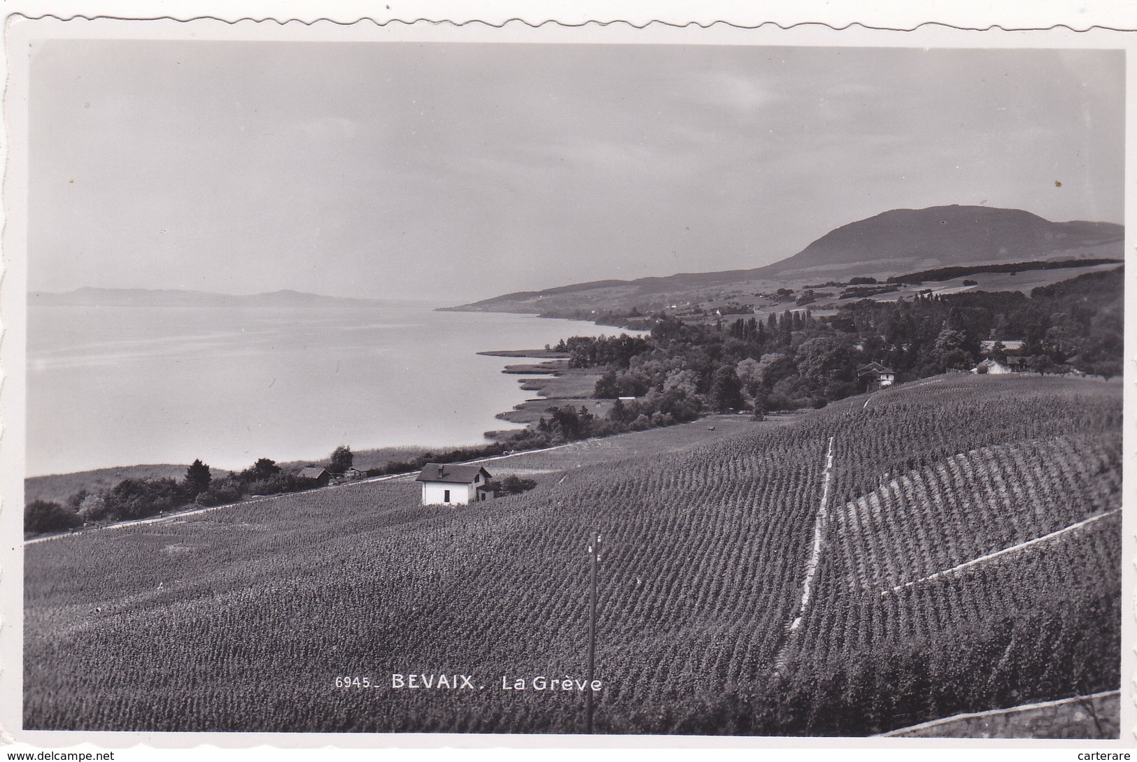 SUISSE,SCHWEIZ,SVIZZERA,HELVETIA,NEUCHATEL,BEVAIS, LA GREVE,lac ,vignoble,prés Boudry,cortaillard,gorgier,rare - Boudry