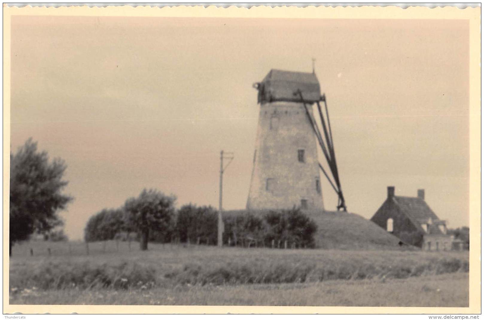 FOTOKAART DAMME MOLEN CARTE DE PHOTO DAMME MOULIN - Damme