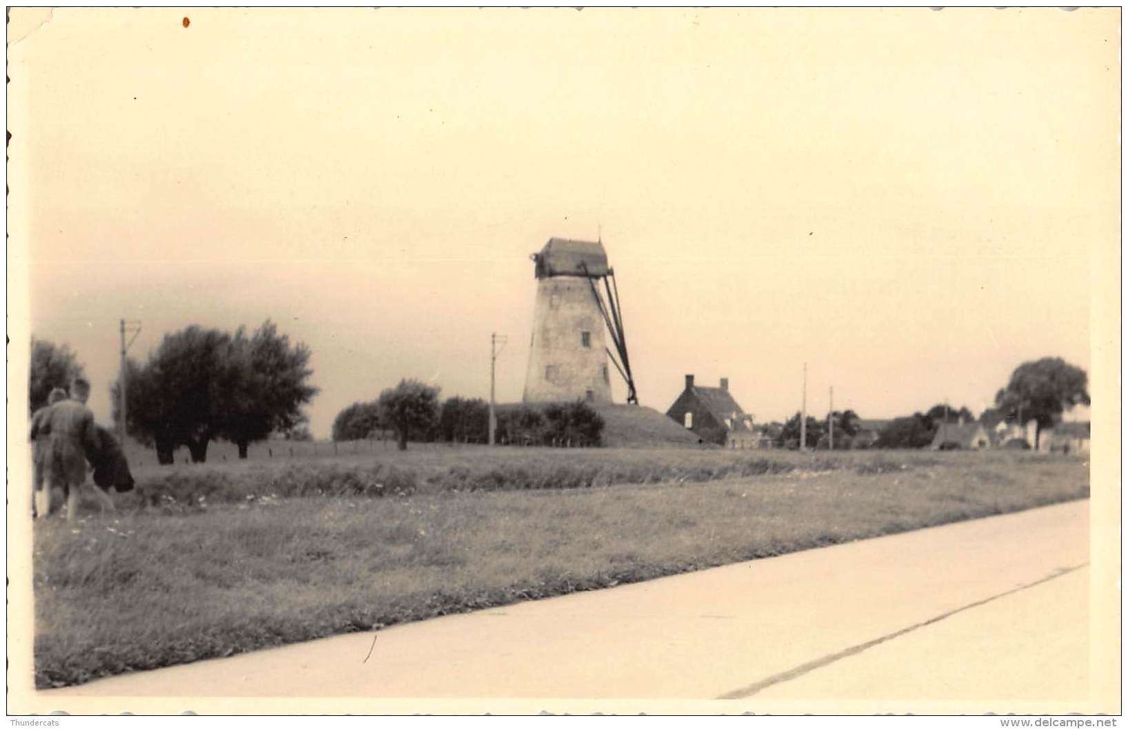 FOTOKAART DAMME MOLEN CARTE DE PHOTO DAMME MOULIN - Damme