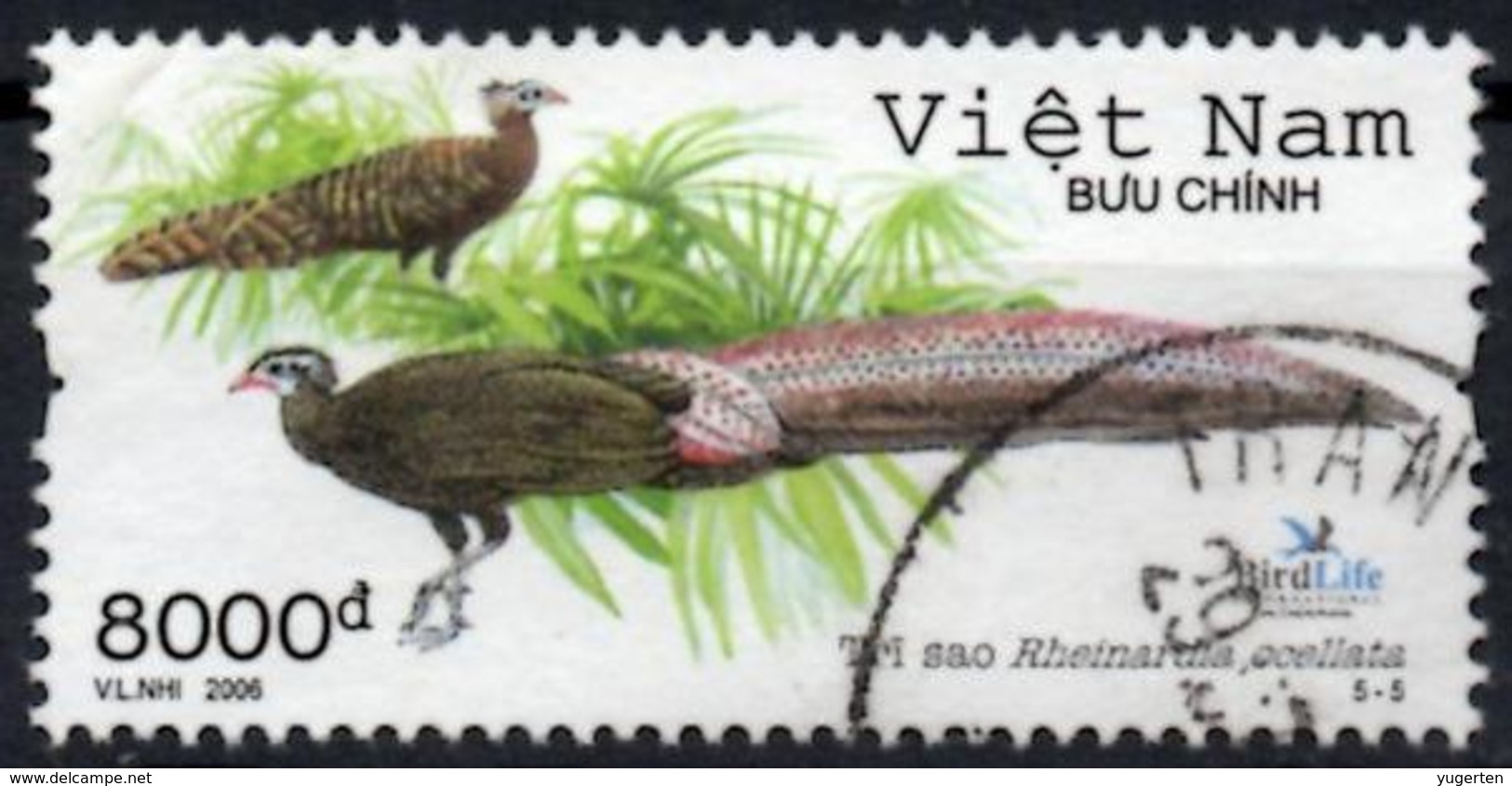 VIETNAM 2006 Used Crested Argus - Rheinardia Ocellata - Birds Pheasant Pheasants Vögel Aves - Paons