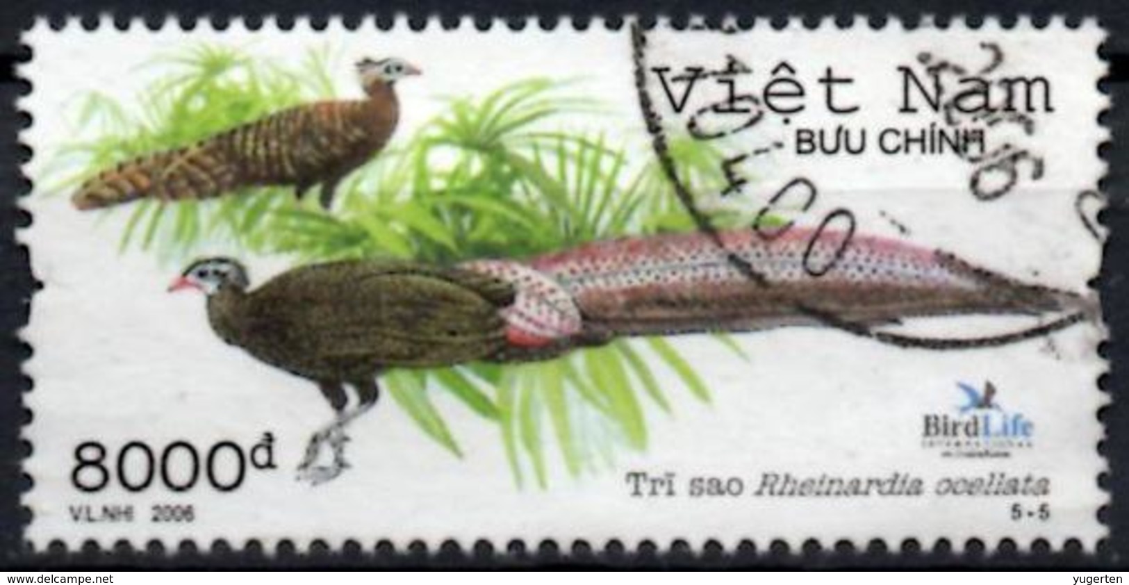 VIETNAM 2006 Used Crested Argus - Rheinardia Ocellata - Birds Pheasant Pheasants Vögel Aves - Paons