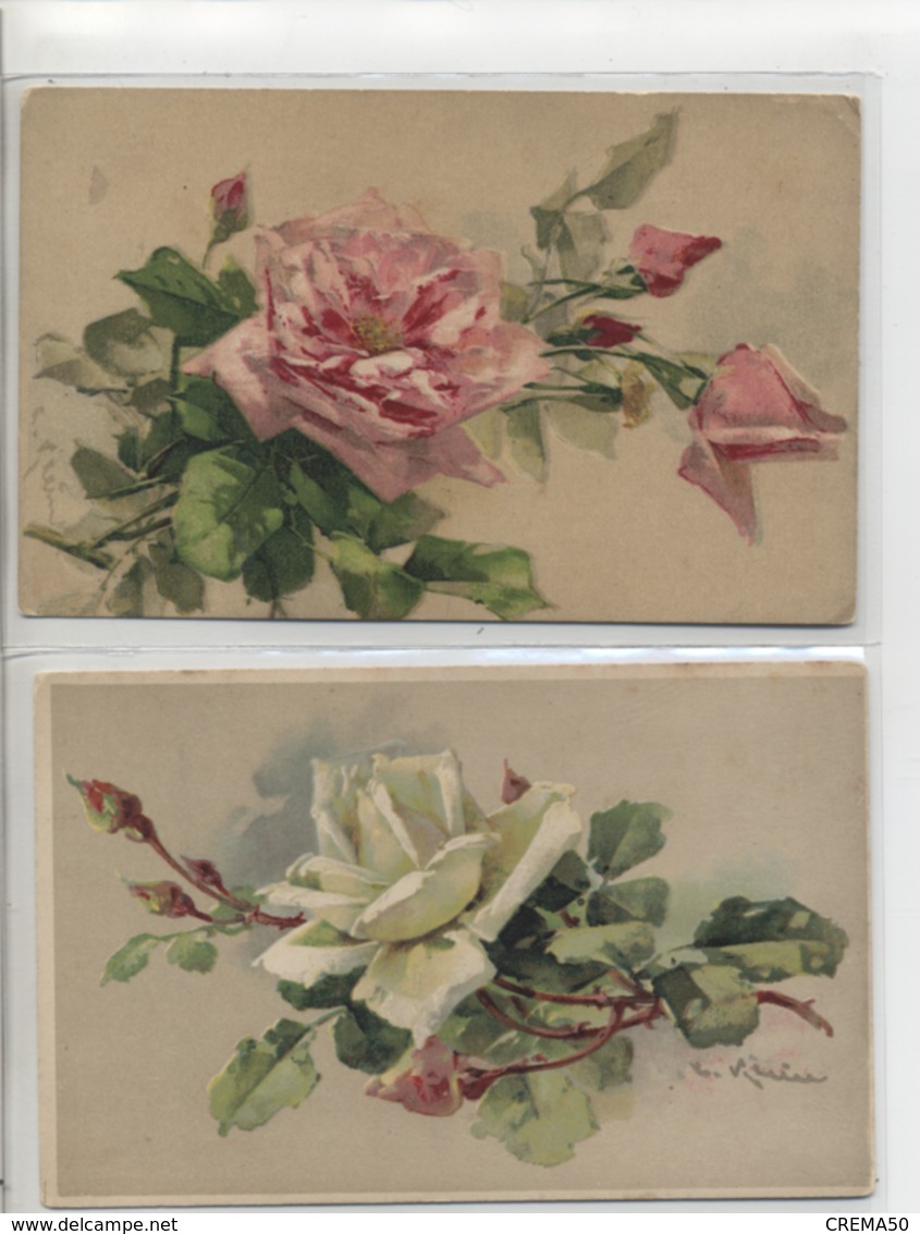 KLEIN - LOT DE 2 CARTES - ROSE BLANCHE ET ROSE- - Klein, Catharina