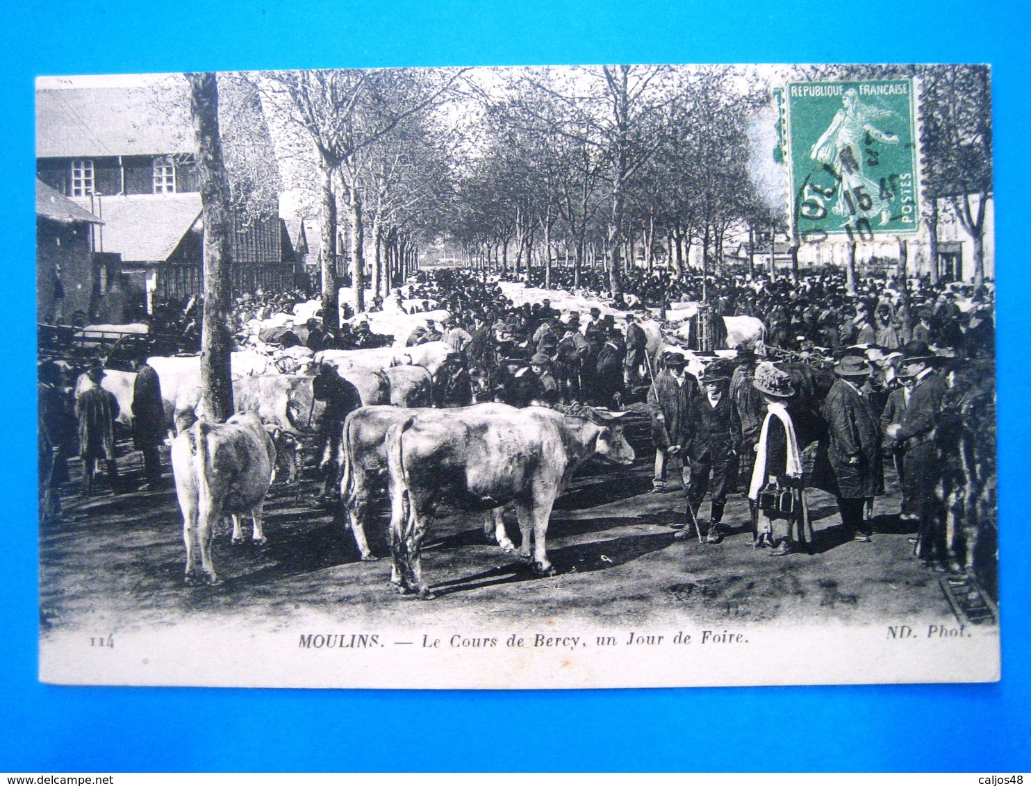 CPA   MOULINS-LE COURS DE BERCY-UN JOUR DE FOIRE-BESTIAUX-ANIMEE - Moulins