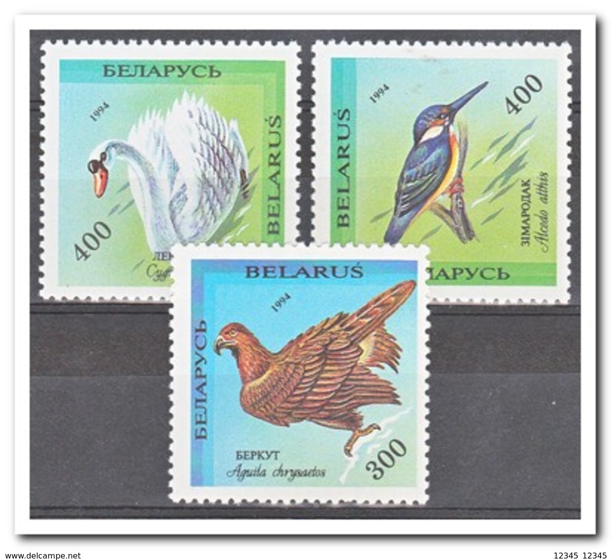 Wit Rusland 1994, Postfris MNH, Birds - Wit-Rusland