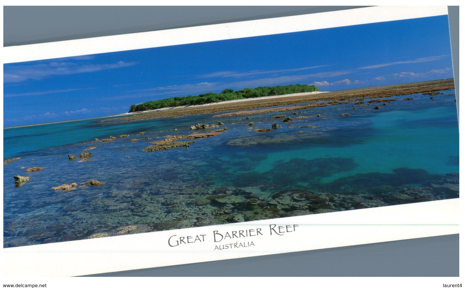 (50) Australia - QLD - LAdy Musgrave Island - Great Barrier Reef