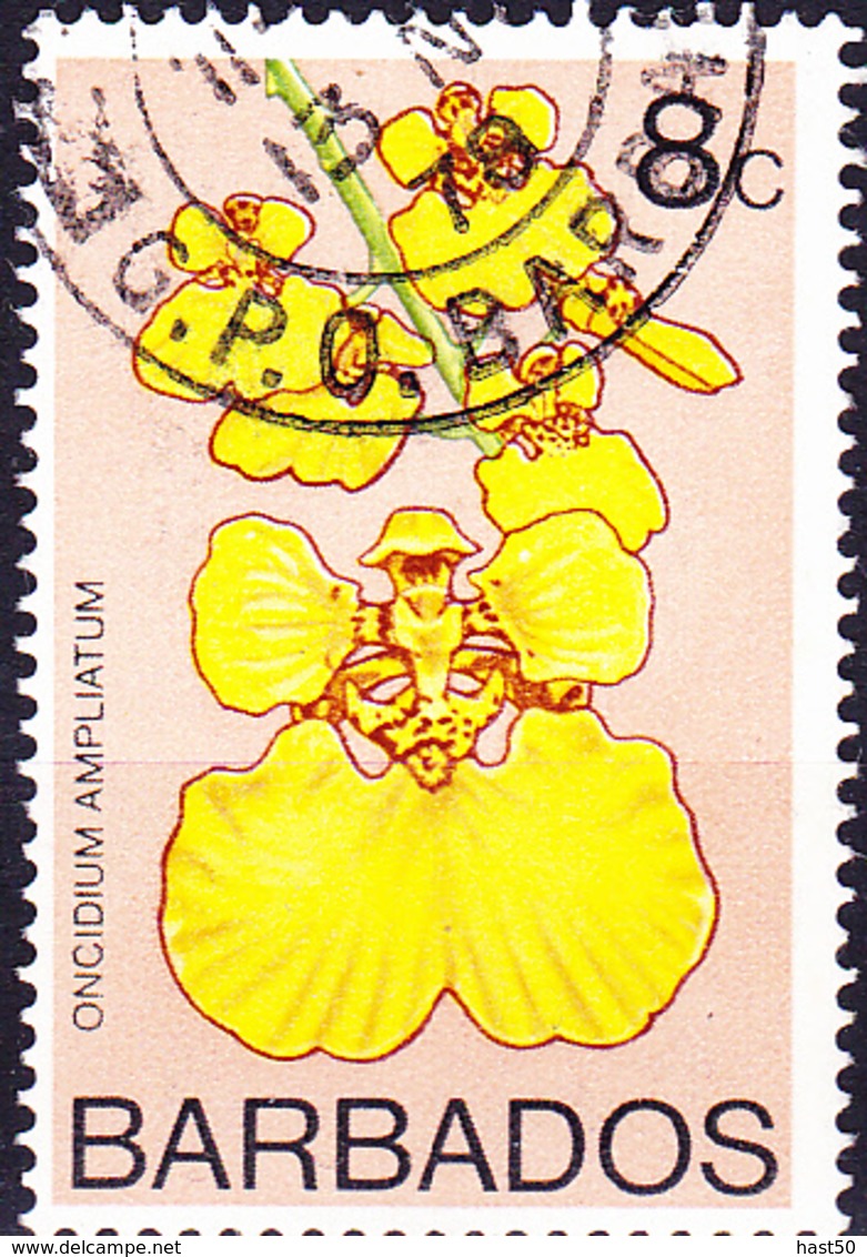 Barbados - Orchidee (Oncidium Ampliatum) (Mi.Nr. 370) 1974 - Gest. Used Obl - Barbados (1966-...)