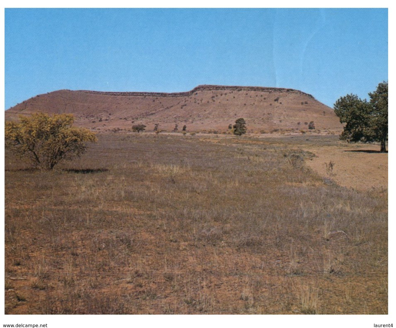 (575) Australia - SA - Flinders Ranges - Great Wall Of China - Flinders Ranges