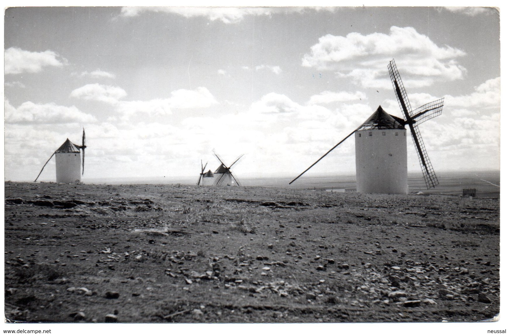 Tarjeta Postal De Campo De Criptana. Molinos. - Ciudad Real