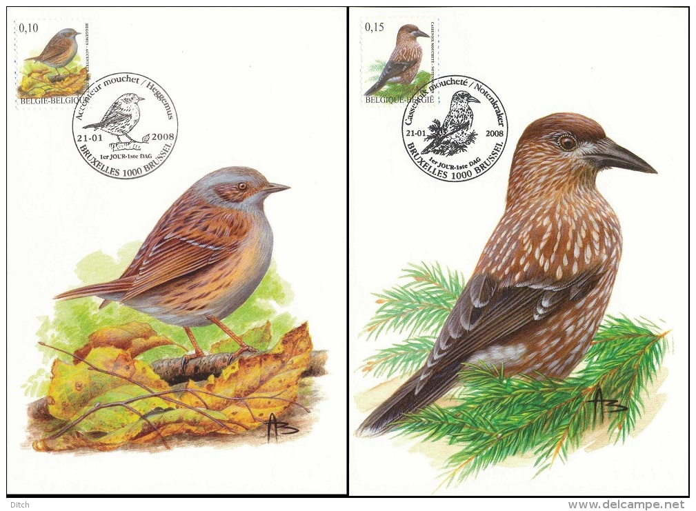 D- [13893] Carte-CMAX 3749/50, 2008, MB - BUZIN, Oiseau, Accenteur Mouchet, CasseNoix Moucheté - 2001-2010